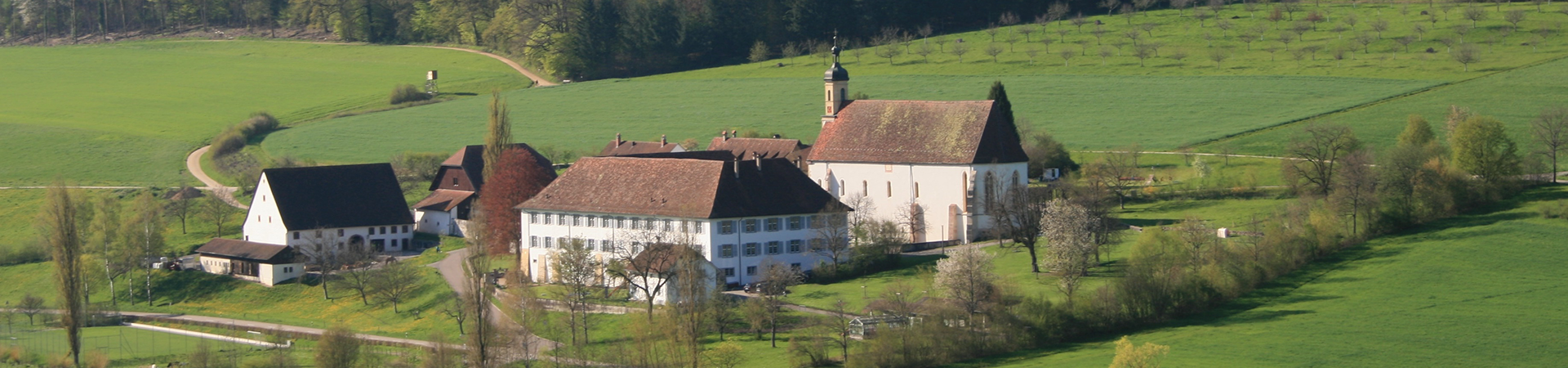 Frühling in Olsberg