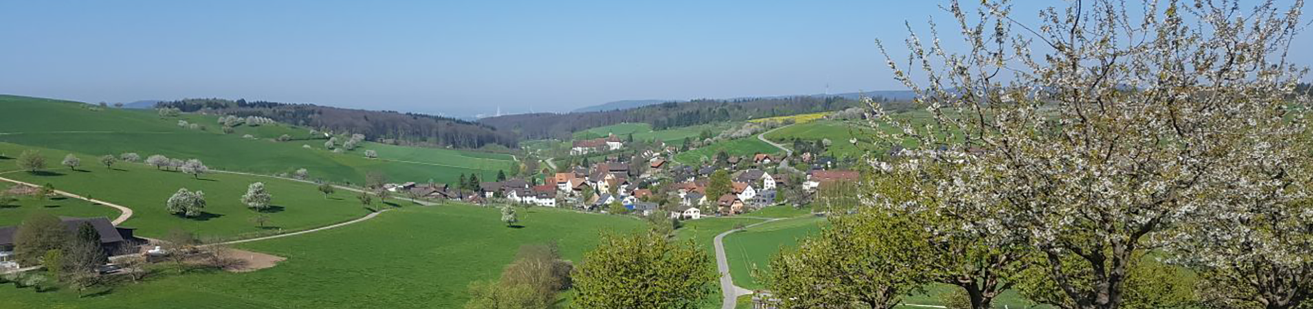 Sommer in Olsberg