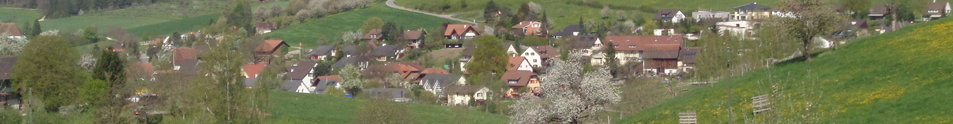 Dorf Olsberg